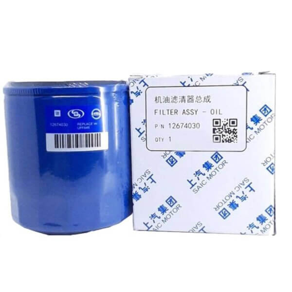 MG HS Oil Filter 2024